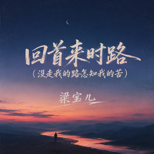 回首来时路(没走我的路怎知我的苦)