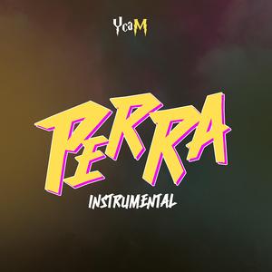 Perra