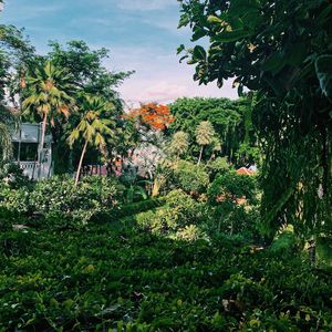 精彩放松的环境