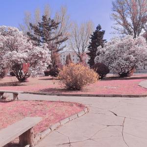 理想三旬_20220425_125134_20220425_125316