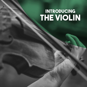 Violin Sonata No. 1: I-III. Agitato - Molto quieto - Moderato