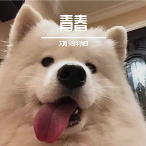 我是一个心胸狭窄的人