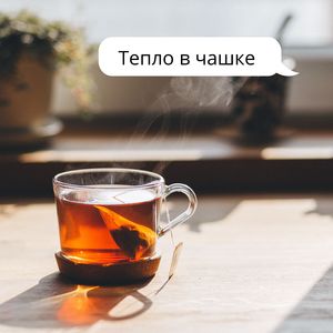 Забытые заботы