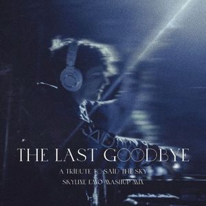 The Last Goodbye (A Tribute To Said The Sky)