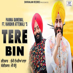 Tere Bin