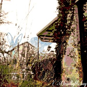 i wasn't the problem, was i?