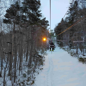 听，是谁在唱歌