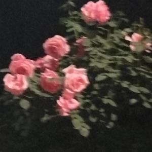 曙（prod.黄吉吉）