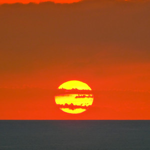 美しき天然 - ハーモニカソロ