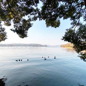 还有五百公里到寺庙——旅行记录