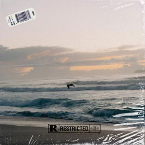 免费可商用 | Guitar Rod wave Type Beat - "The One"