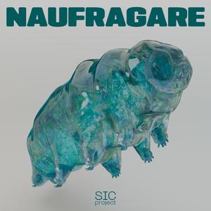 Naufragare