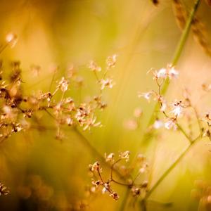 The Beginning and the End