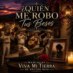 ¿Quién me robó tus besos?