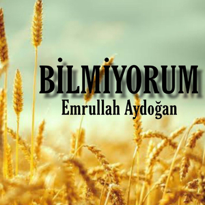 Bilmiyorum