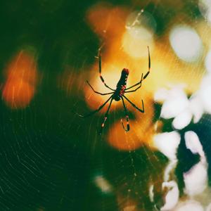 HWGA (Eclipsed slowed + reverb)