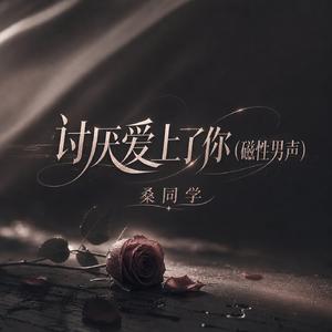 讨厌爱上了你(磁性男声)