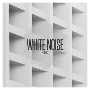 White Noise 950 Hz, Pt. 17
