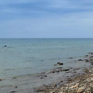 Stepping Stone (Slowed + Reverb)