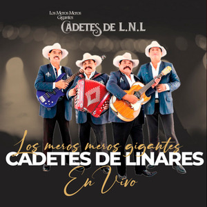 Una Lagrima y un Recuerdo (En Vivo)
