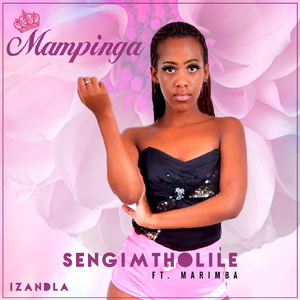 Sengimtholile (feat. Marimba)