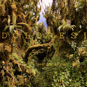 I Guess You Suppose You're Right