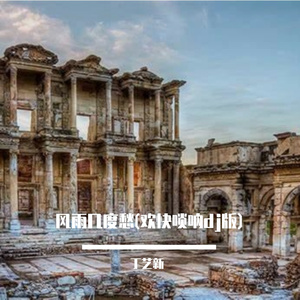 丁艺新-壮志不言愁(dj欢快)（丁艺新 remix）