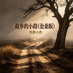 故乡的小路(沧桑版)