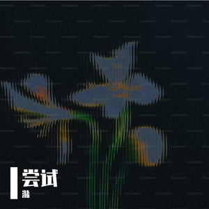 拾忆（Eleven）