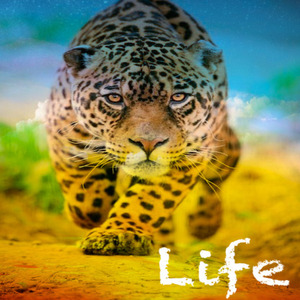Life