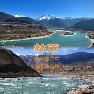 林芝