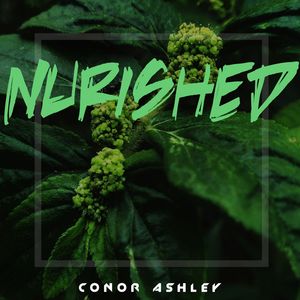 Have You Ever Seen The Rain