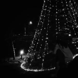 ธันวาคมจริงๆ..