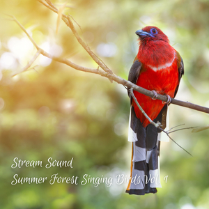 Around The Riverbend