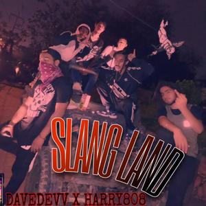 Slang Land (feat. Harry 808)