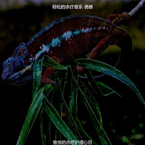 精彩油按摩环境