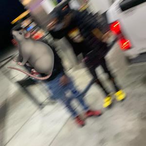 Assasination Klassroom