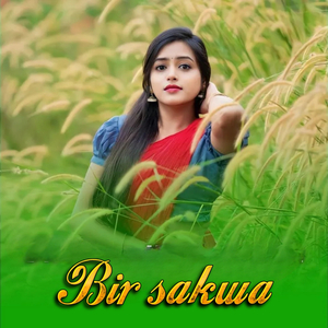 Bir sakwa