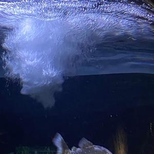 가스라이팅 해서 당신 없이 못 살게 해놓고 어디 가