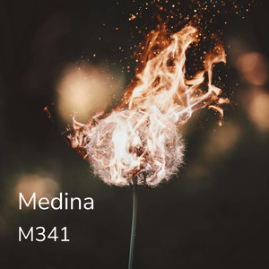 Medina