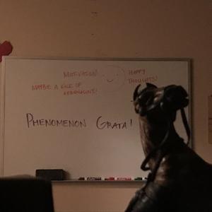 I Liked It I Just Hated Doing It