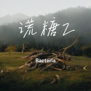 谎糖2