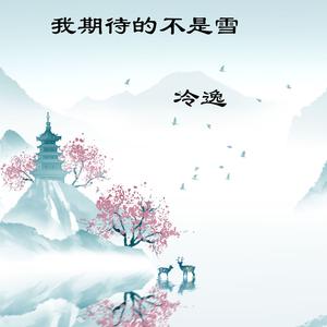 我期待的不是雪