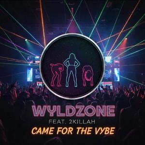 Came for the vybe (Instrumental)