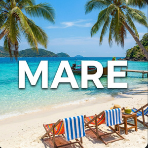 Mare