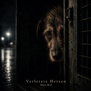 Verletzte Herzen