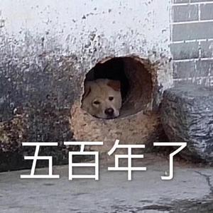 你回头看