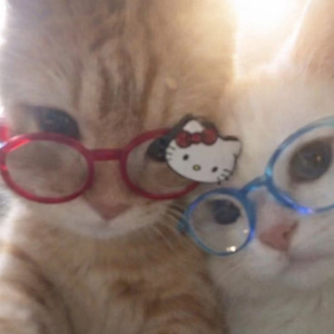 我身上有一个不可战胜的夏天