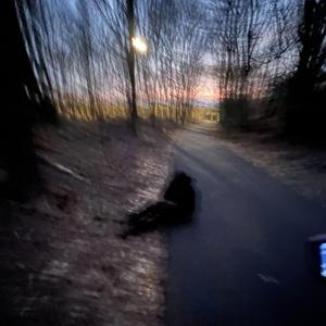 So Exhausted (feat. Billie Eileen)