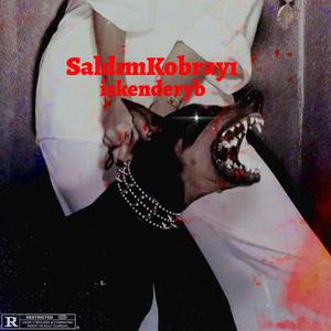 SALDIM KOBRAYI